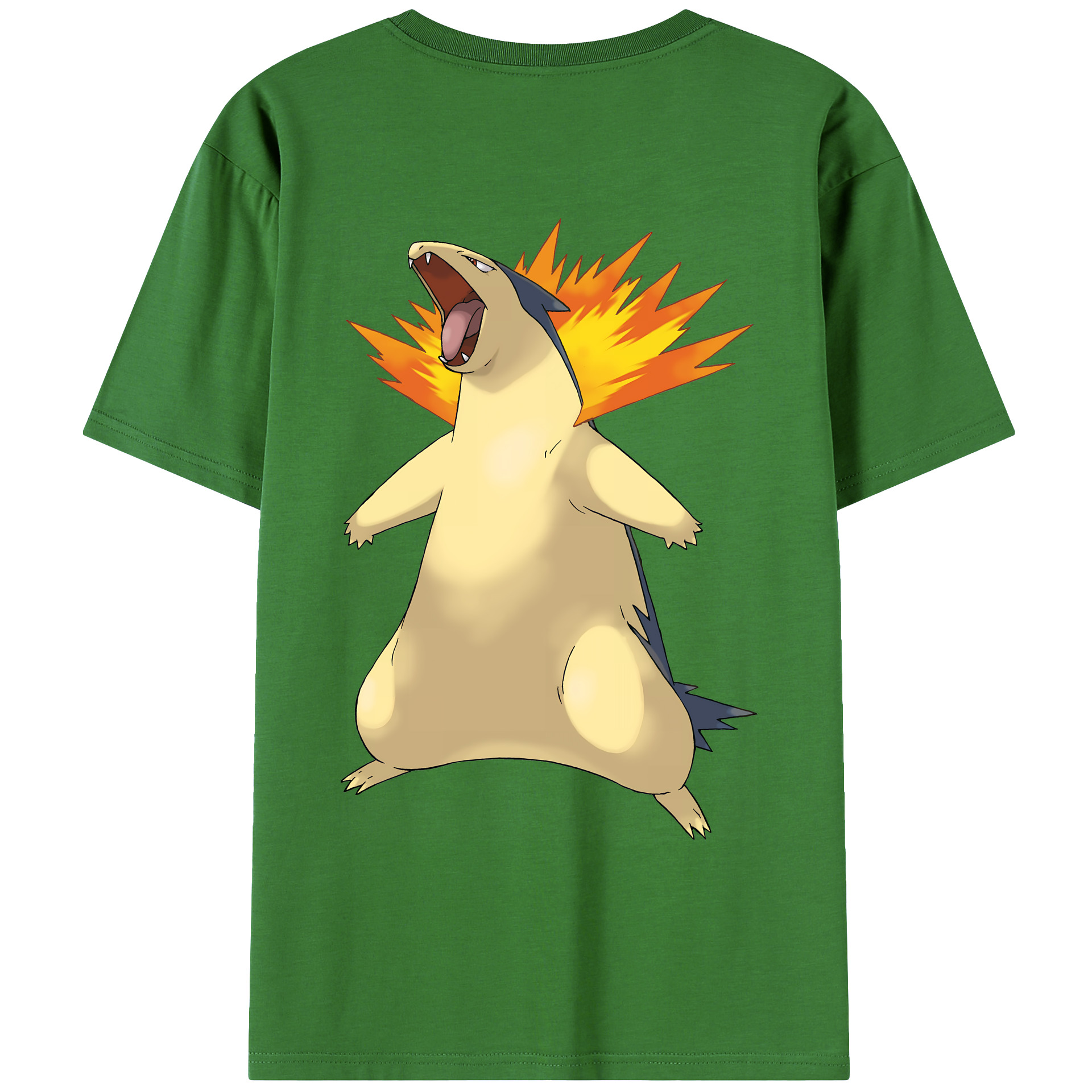 （画像用） ポケットモンスター Pokémon レディース半袖Tシャツ(バックプリント)